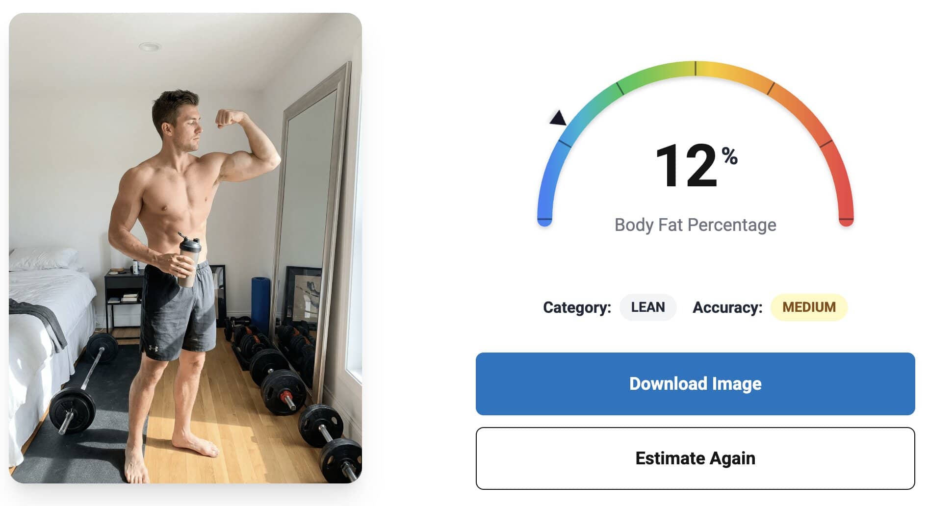 Completed AI body fat estimate result screen