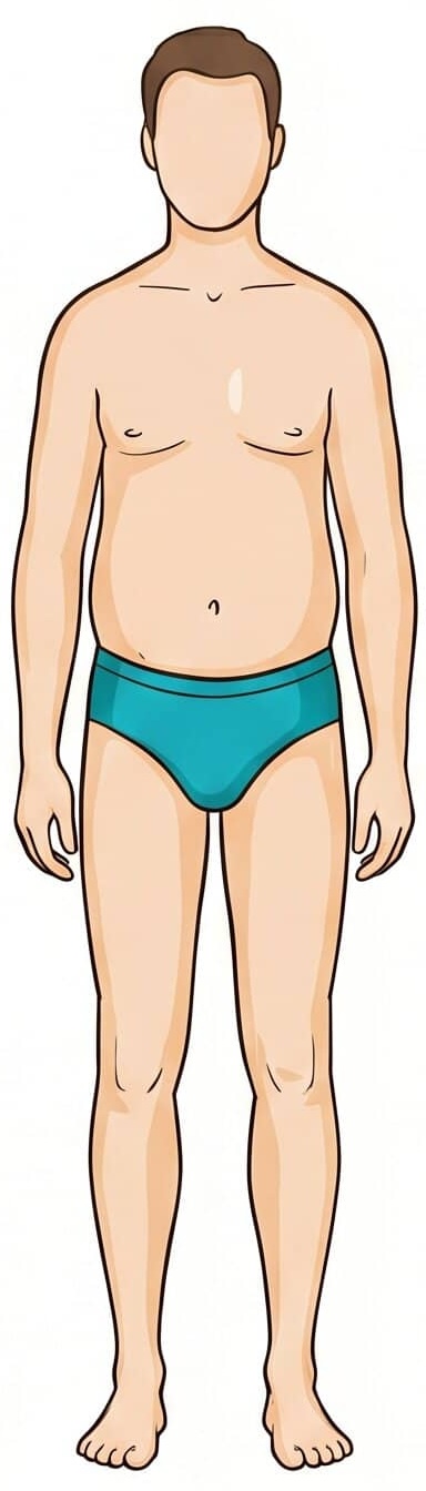 Oval body type example