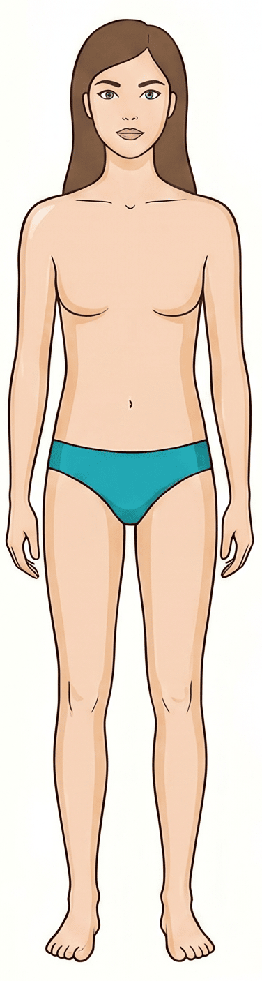 Rectangle body type example